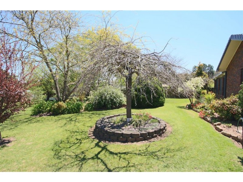 6 Casino Road, Tenterfield NSW 2372