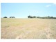 Lot 11 Millers Lane, Tenterfield NSW 2372