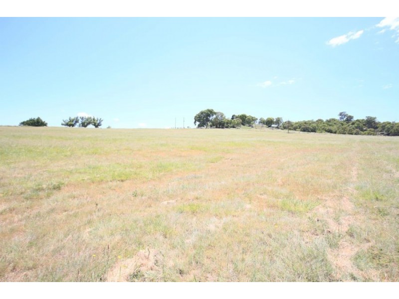 Lot 11 Millers Lane, Tenterfield NSW 2372