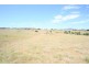 Lot 11 Millers Lane, Tenterfield NSW 2372