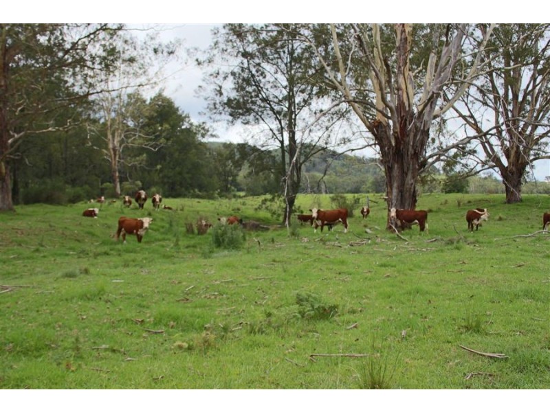 176 Boorook Road, Tenterfield NSW 2372