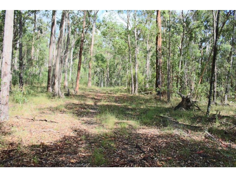 176 Boorook Road, Tenterfield NSW 2372