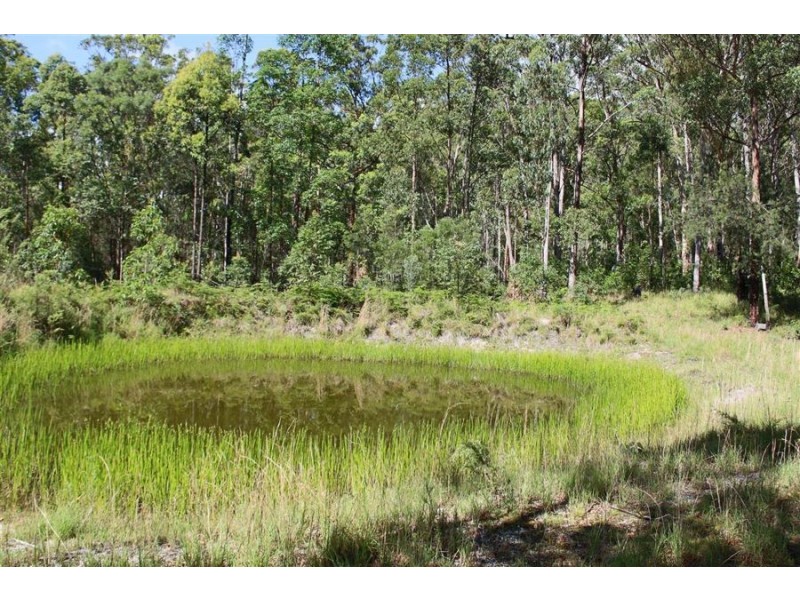 176 Boorook Road, Tenterfield NSW 2372