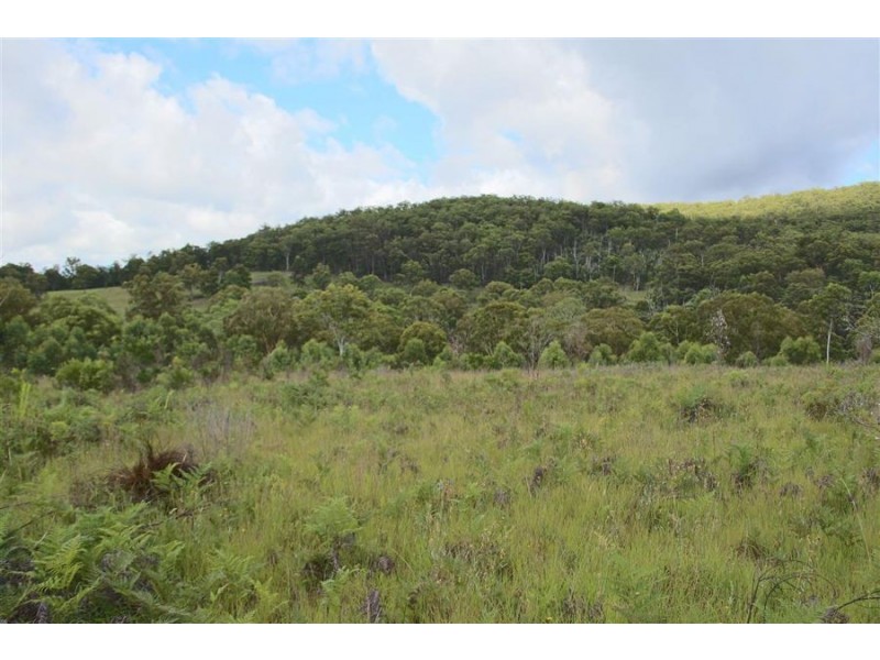 176 Boorook Road, Tenterfield NSW 2372