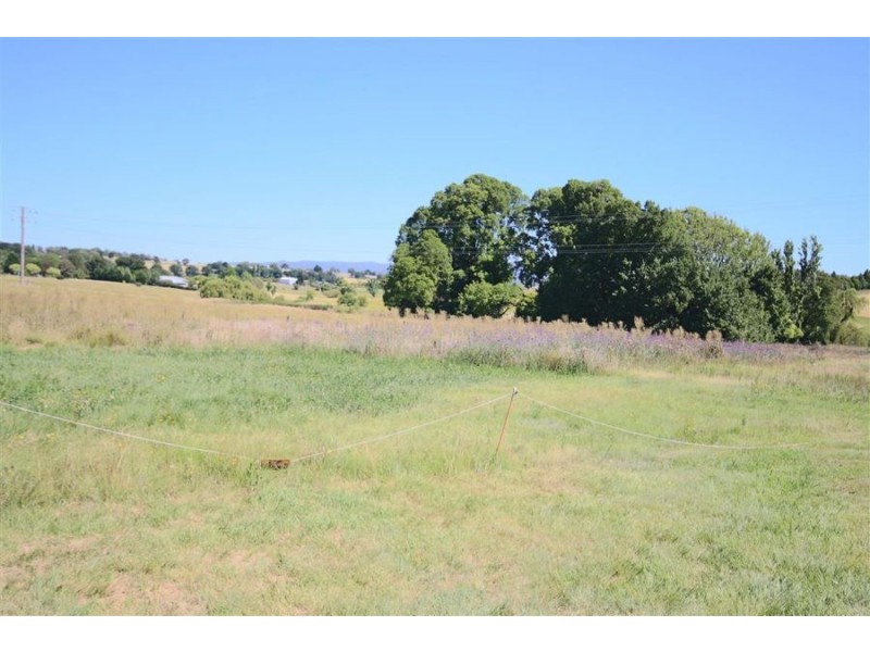 Lot 5 Cowper Street, Tenterfield NSW 2372