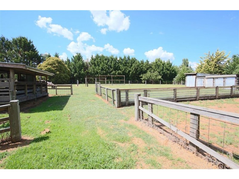 126 Cowper Street, Tenterfield NSW 2372