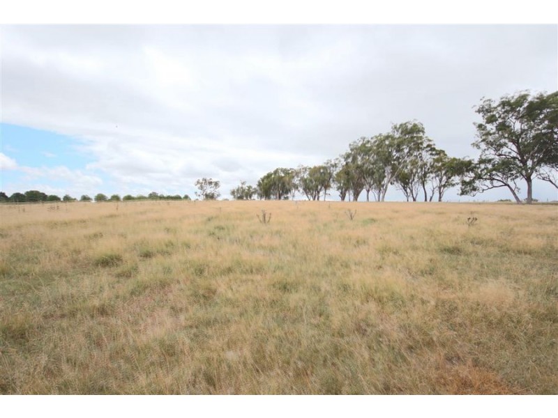 145 East Street, Tenterfield NSW 2372