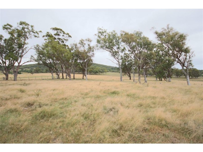 145 East Street, Tenterfield NSW 2372