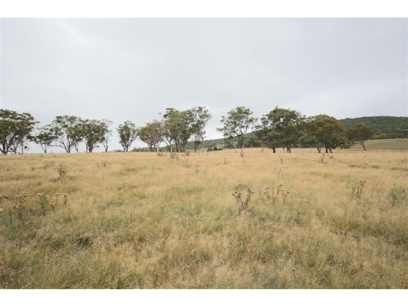 145 East Street, Tenterfield NSW 2372