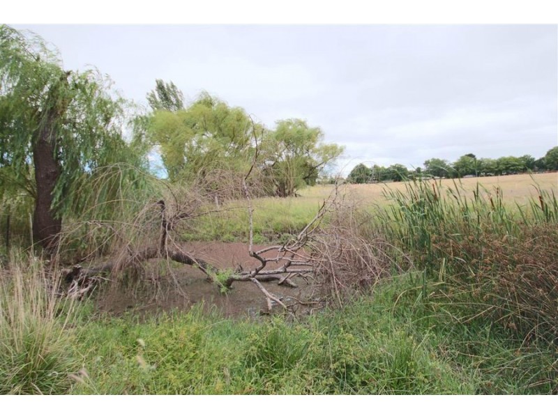 145 East Street, Tenterfield NSW 2372