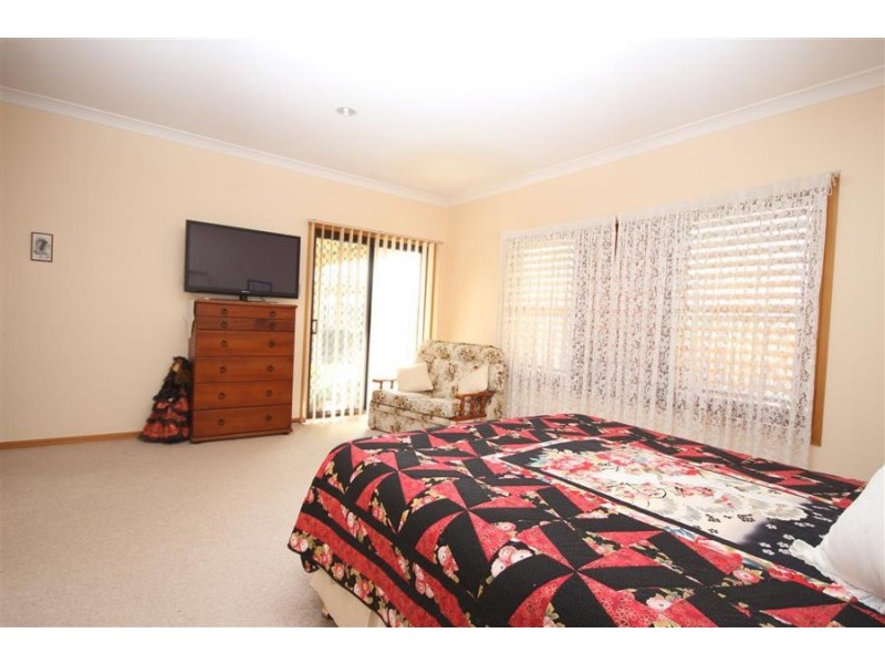 330 Bellevue Road, Tenterfield NSW 2372