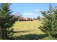 118-120 Wood Street, Tenterfield NSW 2372