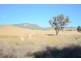 Lot 26 / 1213 Mole River Road, Mole River NSW 2372