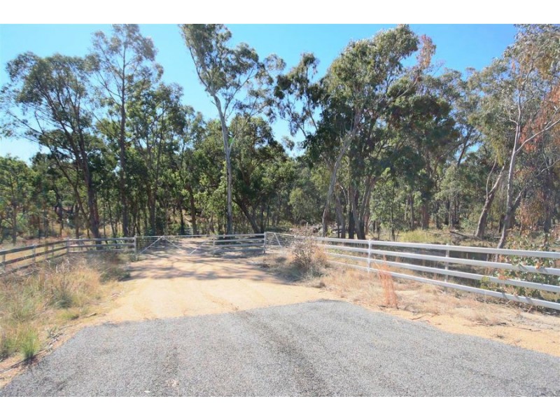 Lot 385 Mount Spirabo Road, Bolivia NSW 2372