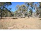 Lot 385 Mount Spirabo Road, Bolivia NSW 2372