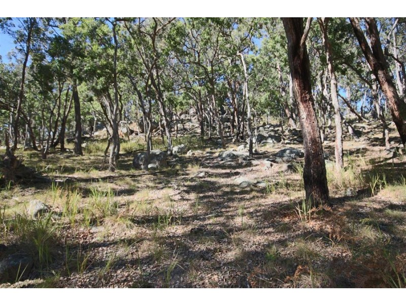 Lot 385 Mount Spirabo Road, Bolivia NSW 2372