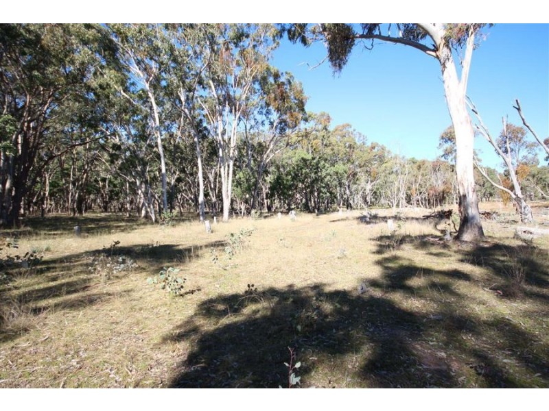 Lot 385 Mount Spirabo Road, Bolivia NSW 2372
