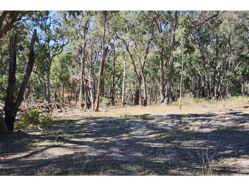 Lot 385 Mount Spirabo Road, Bolivia NSW 2372