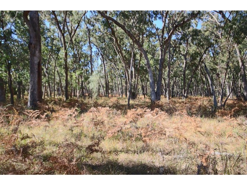 Lot 385 Mount Spirabo Road, Bolivia NSW 2372
