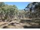 Lot 385 Mount Spirabo Road, Bolivia NSW 2372