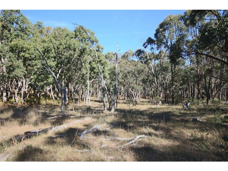 Lot 385 Mount Spirabo Road, Bolivia NSW 2372
