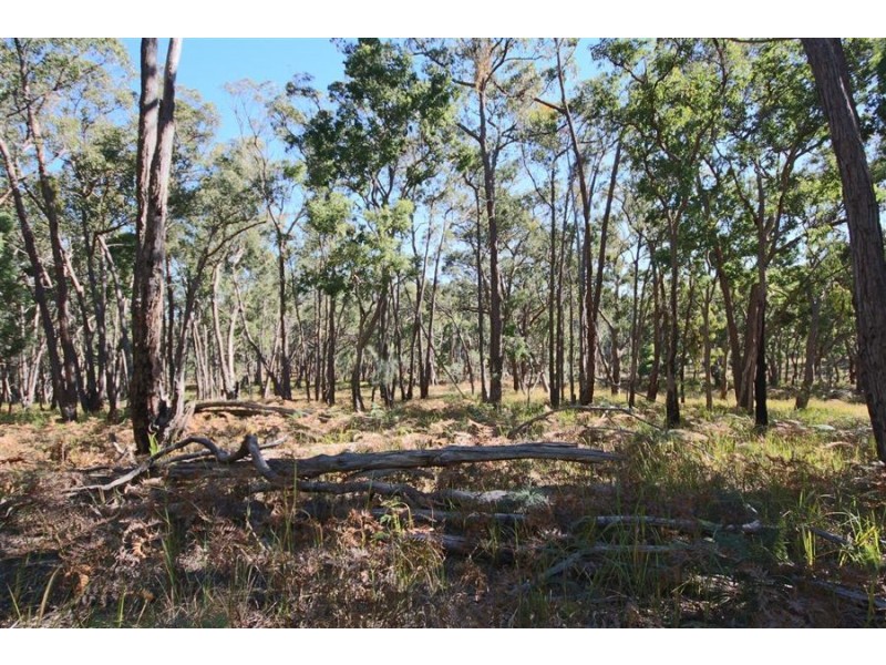 Lot 385 Mount Spirabo Road, Bolivia NSW 2372