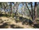 Lot 385 Mount Spirabo Road, Bolivia NSW 2372