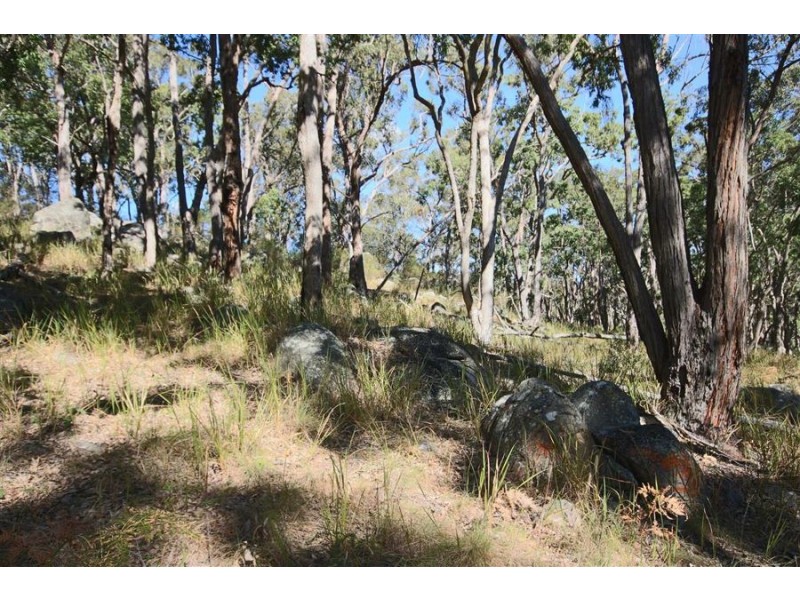 Lot 385 Mount Spirabo Road, Bolivia NSW 2372
