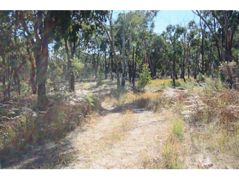 Lot 385 Mount Spirabo Road, Bolivia NSW 2372