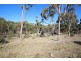 Lot 385 Mount Spirabo Road, Bolivia NSW 2372