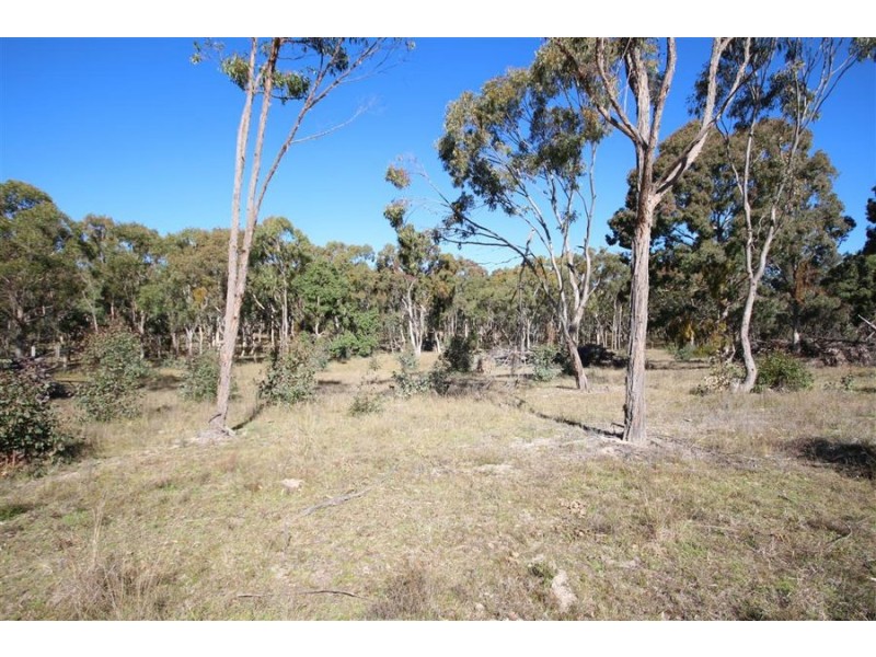 Lot 385 Mount Spirabo Road, Bolivia NSW 2372