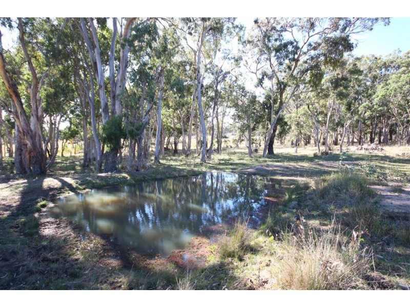 Lot 385 Mount Spirabo Road, Bolivia NSW 2372