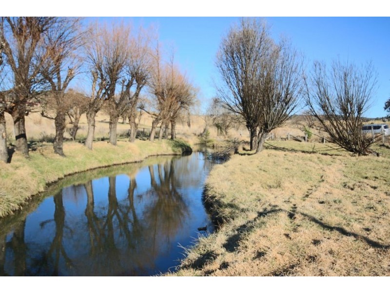 243 Bellevue Road, Tenterfield NSW 2372