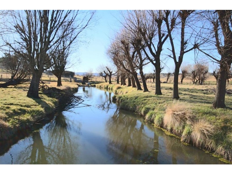 243 Bellevue Road, Tenterfield NSW 2372