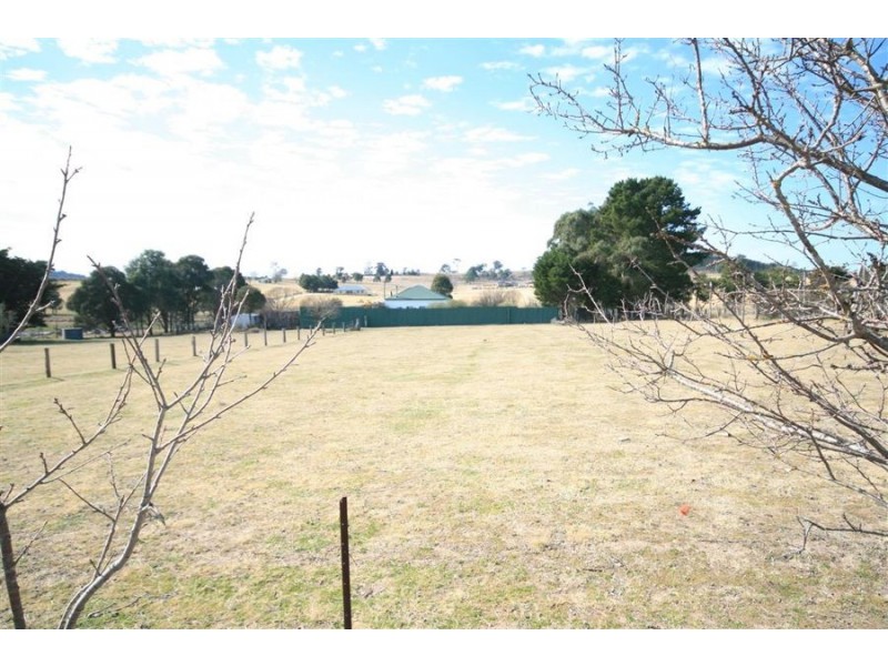 243 Bellevue Road, Tenterfield NSW 2372