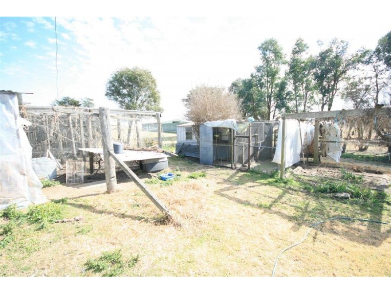 243 Bellevue Road, Tenterfield NSW 2372