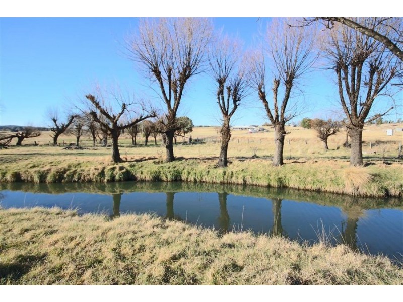 243 Bellevue Road, Tenterfield NSW 2372