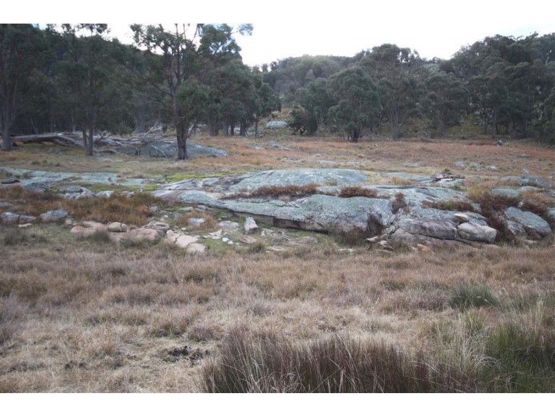 2 Wades Road, Tenterfield NSW 2372