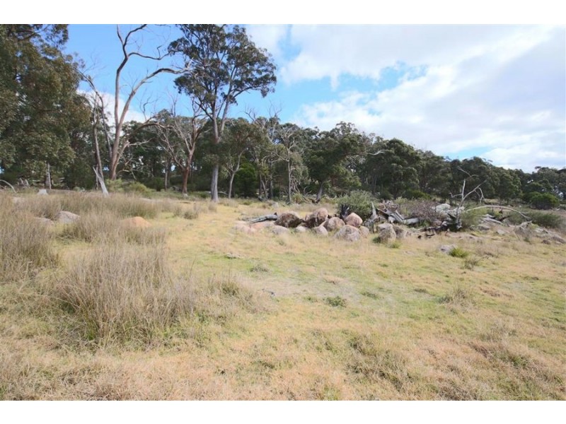 2 Wades Road, Tenterfield NSW 2372