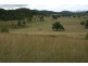 83 Mcleods Creek Road, Sandy Hill NSW 2372