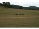 83 Mcleods Creek Road, Sandy Hill NSW 2372