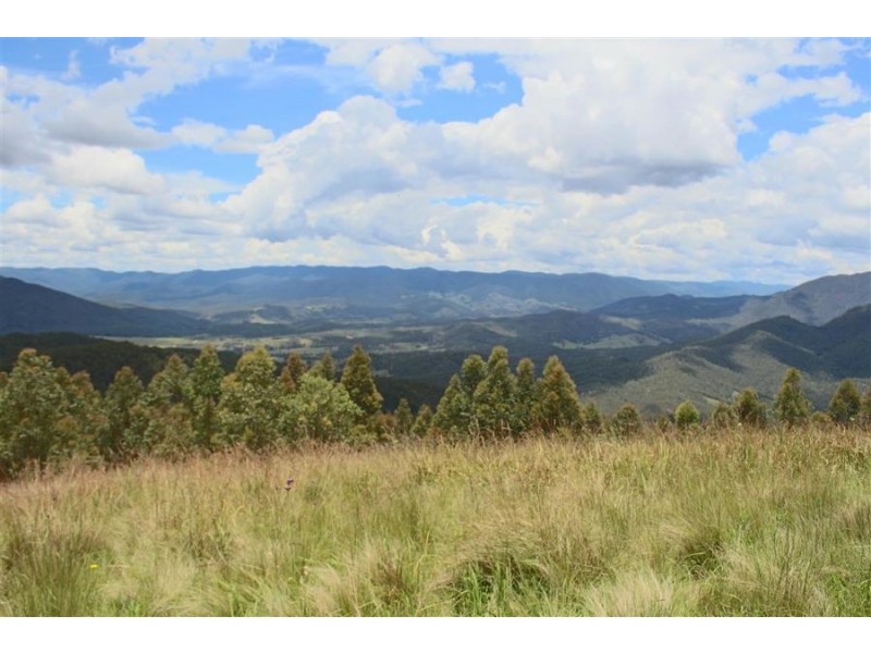 1924 Billirimba Road, Tenterfield NSW 2372