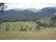 1924 Billirimba Road, Tenterfield NSW 2372
