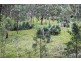 1924 Billirimba Road, Tenterfield NSW 2372