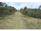 1924 Billirimba Road, Tenterfield NSW 2372