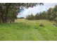 1924 Billirimba Road, Tenterfield NSW 2372