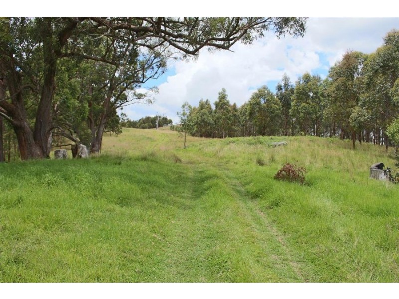 1924 Billirimba Road, Tenterfield NSW 2372