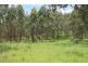 1924 Billirimba Road, Tenterfield NSW 2372