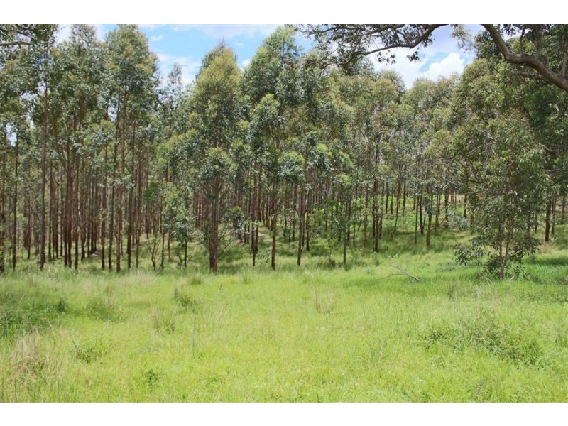 1924 Billirimba Road, Tenterfield NSW 2372