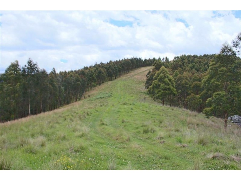 1924 Billirimba Road, Tenterfield NSW 2372